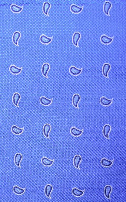 Knightsbridge Neckwear Paisley Silk Tie - Blue From Woven Durham